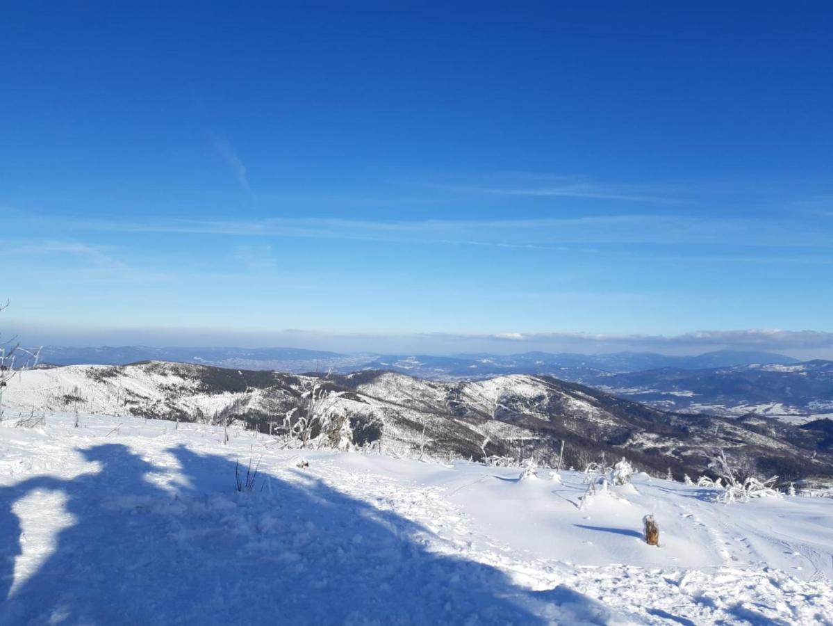 Chata Goralska Wojtasowka Kamesznica Εξωτερικό φωτογραφία