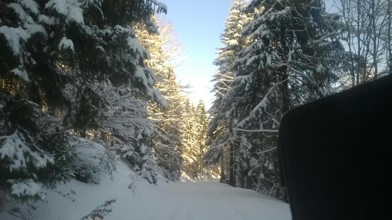 Chata Goralska Wojtasowka Kamesznica Εξωτερικό φωτογραφία
